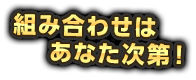 組み合わせはあなた次第！