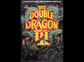 DOUBLE DRAGON Ⅲ