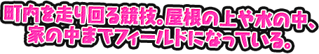 町内を走り回る競技。屋根の上や水の中、家の中までフィールドになっている。