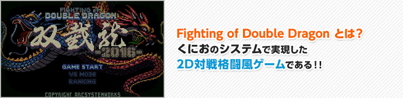Fighting of Double Dragon とは？くにおのシステムで実現した2D対戦格闘風ゲームである！!