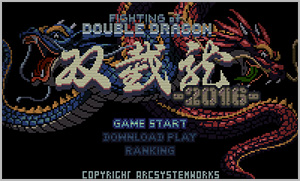 Fighting of Double Dragon 2016